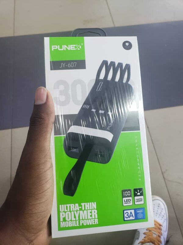 Punex Power Bank